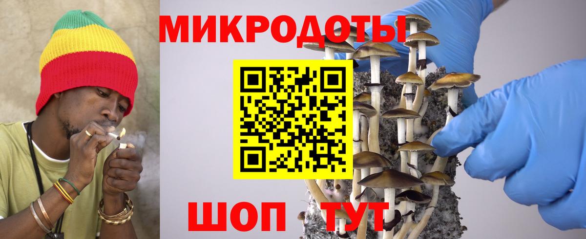 Галлюциногенные грибы мухоморы  Вход с VPN  Галлюциногенные грибы прущие грибы  Артёмовский 